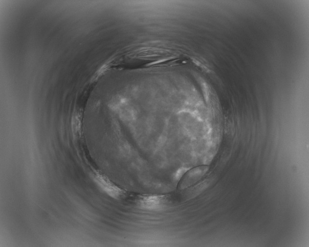 X0000080760382200701051242