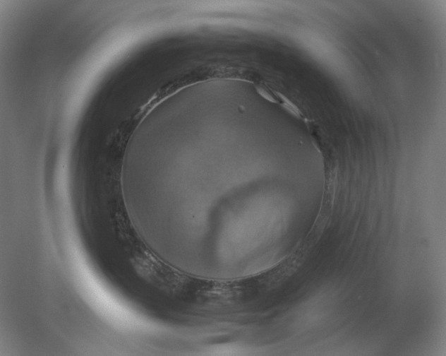 X0000080760383200701051242