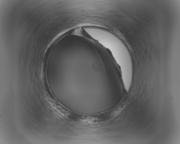 X0000080760387200701051241
