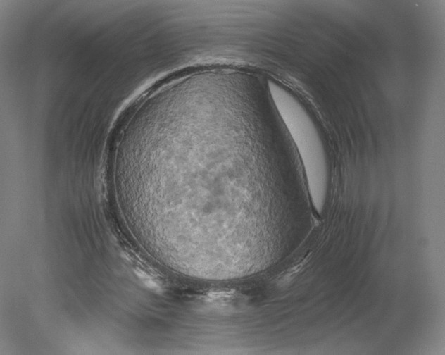 X0000080760388200701051241