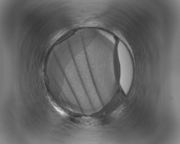 X0000080760389200701051241