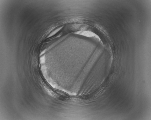 X0000080760393200701051241