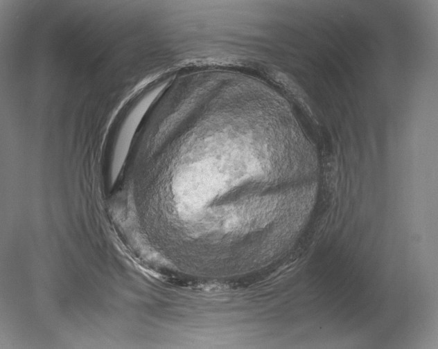 X0000080760395200701051241
