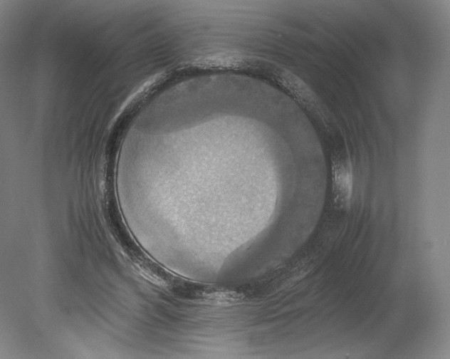 X0000080760396200701051241