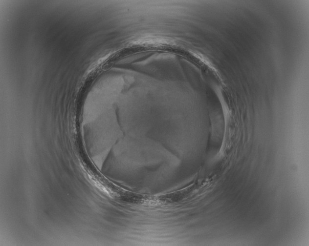 X0000080760399200701051241