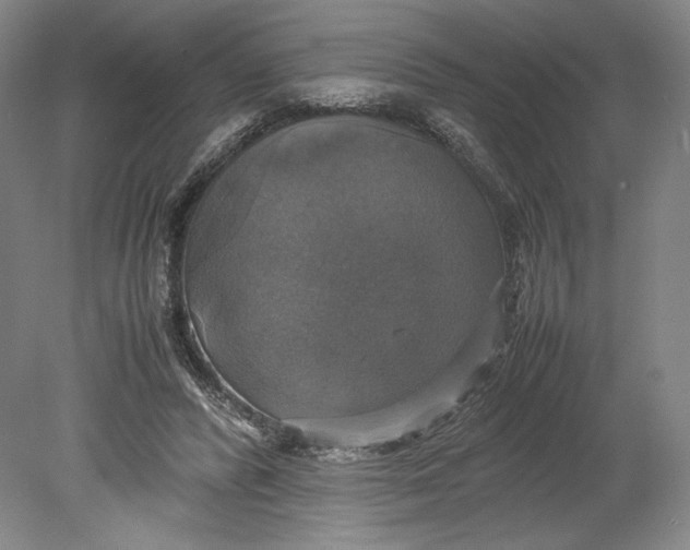 X0000080760400200701051241