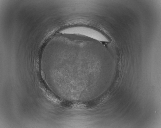 X0000080760403200701051241