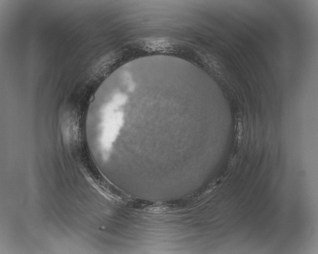 X0000080760408200701051241