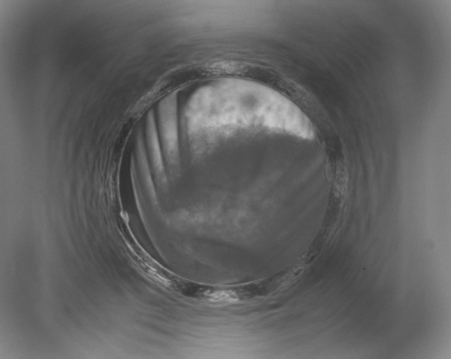 X0000080760409200701051241