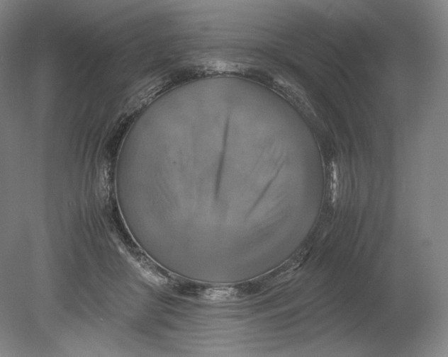 X0000080760410200701051241