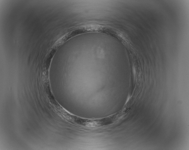 X0000080760411200701051241