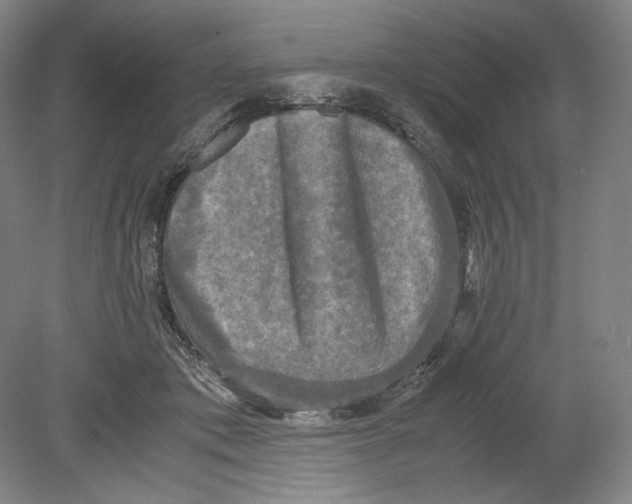 X0000080760413200701051241