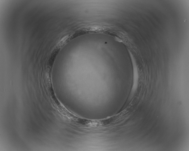 X0000080760415200701051241
