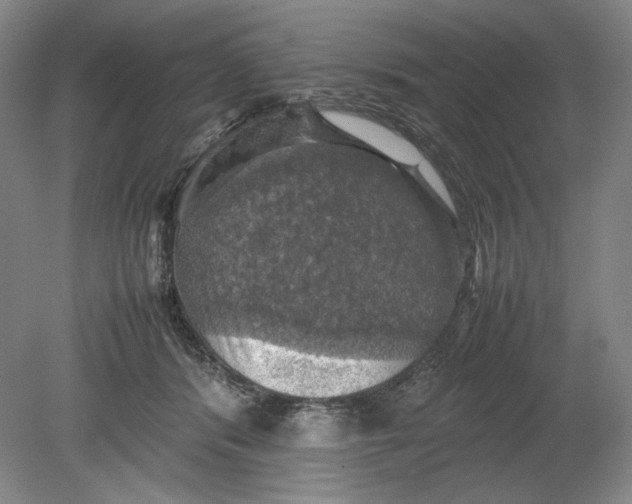 X0000080760416200701051241