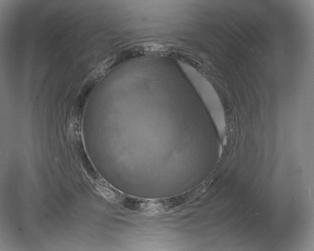 X0000080760419200701051241