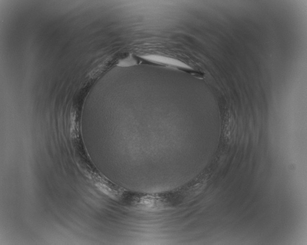 X0000080760420200701051241