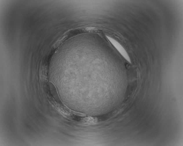 X0000080760421200701051241