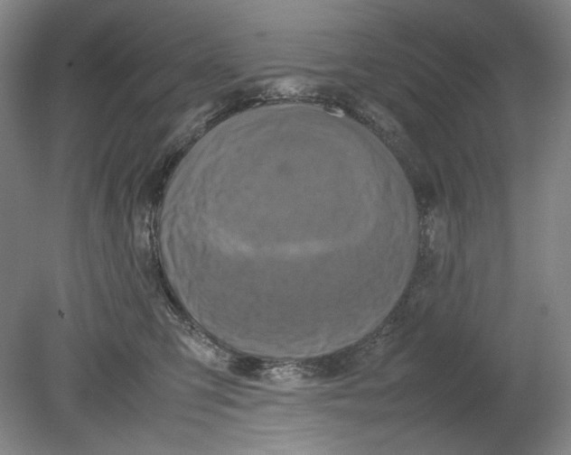 X0000080760423200701051241