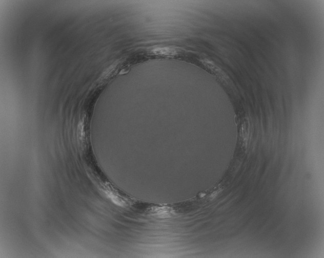 X0000080760424200701051241