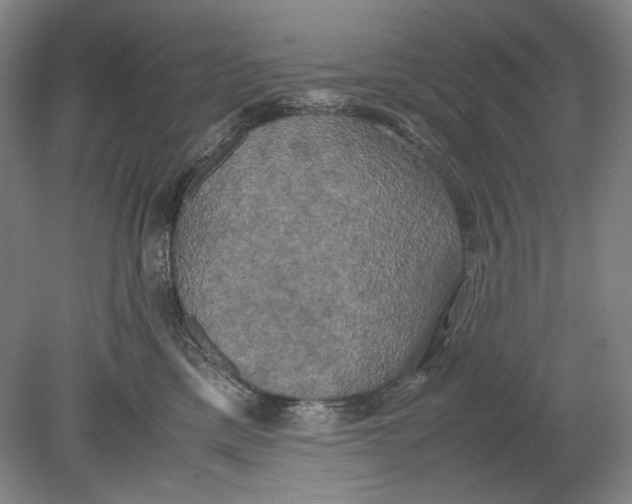 X0000080760425200701051241