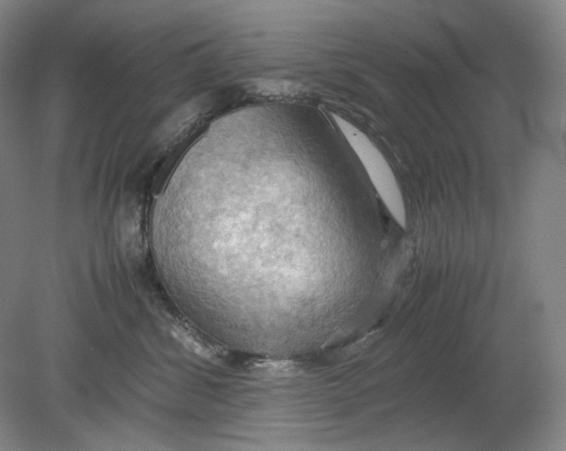 X0000080760428200701051241