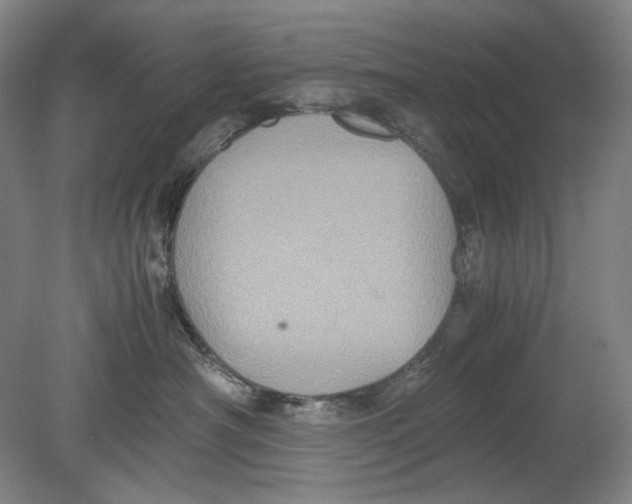 X0000080760430200701051241