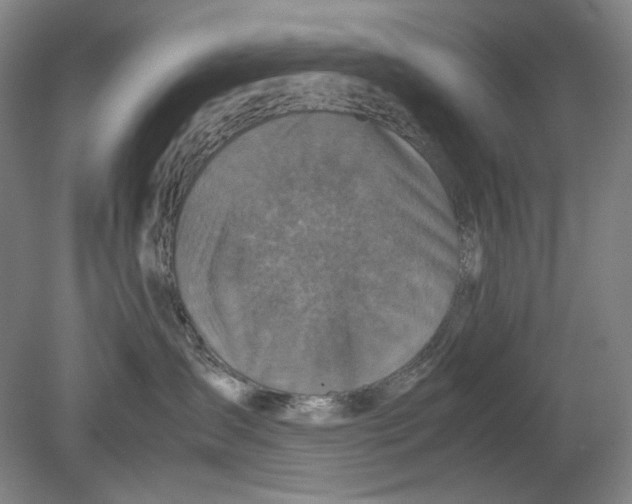 X0000080760431200701051241