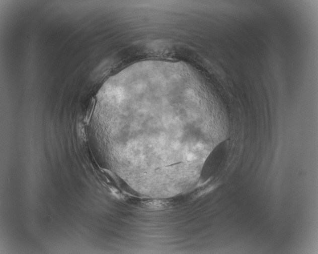 X0000080760432200701051241