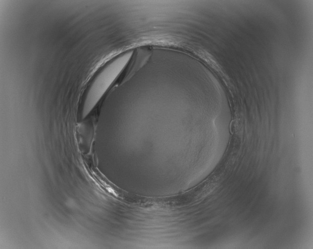 X0000080760434200701051240