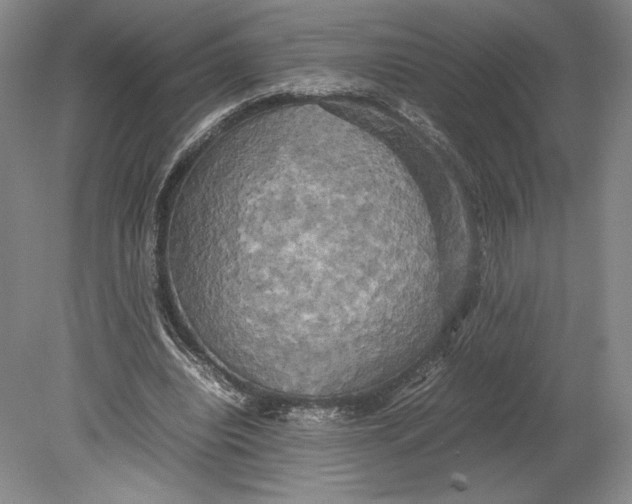 X0000080760440200701051240