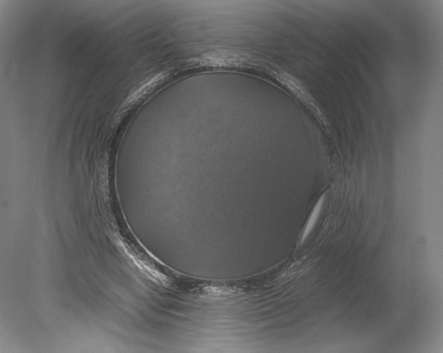 X0000080760442200701051240