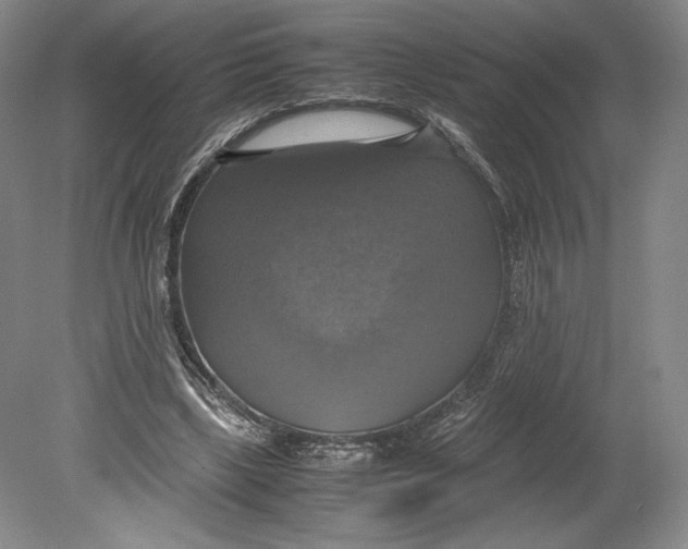 X0000080760443200701051240