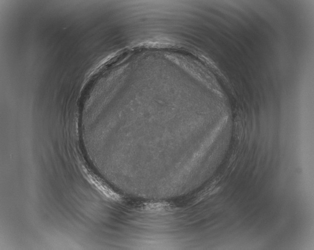 X0000080760446200701051240