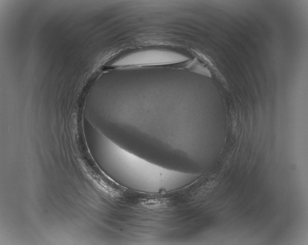 X0000080760447200701051240