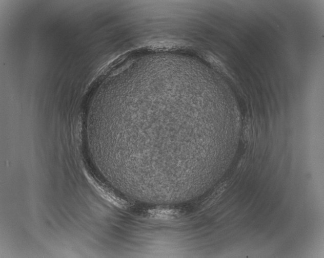 X0000080760448200701051240
