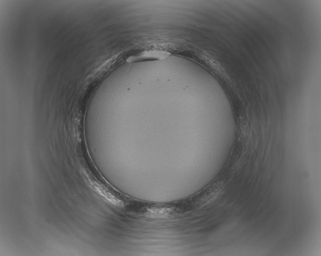X0000080760450200701051240