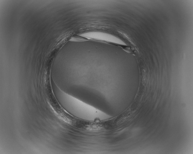 X0000080760451200701051240