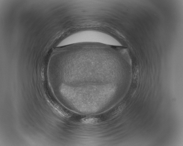X0000080760452200701051240