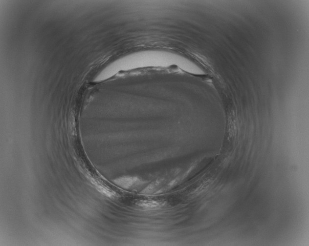 X0000080760453200701051240