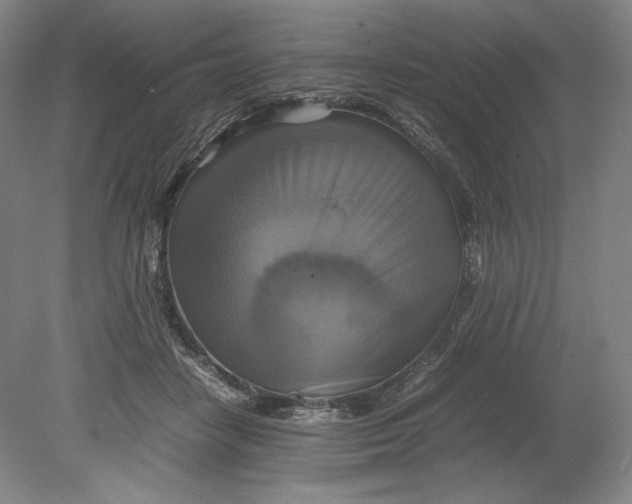 X0000080760458200701051240
