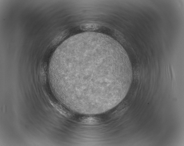 X0000080760460200701051240