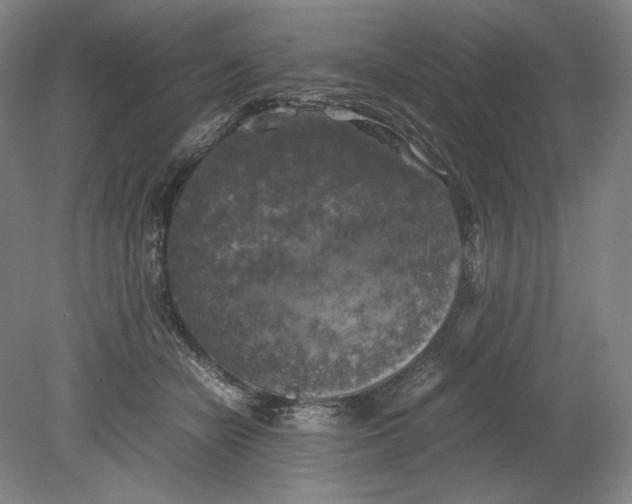 X0000080760462200701051240