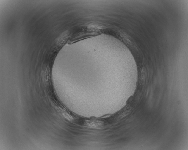 X0000080760463200701051240