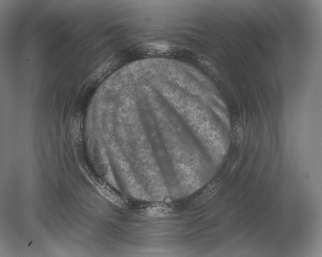 X0000080760468200701051240