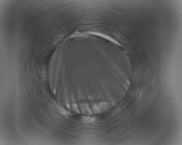 X0000080760469200701051240