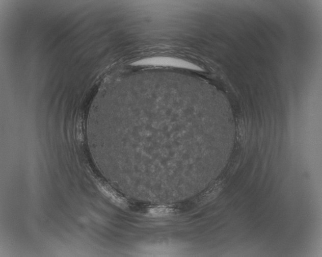 X0000080760470200701051241