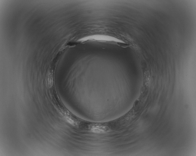 X0000080760471200701051241
