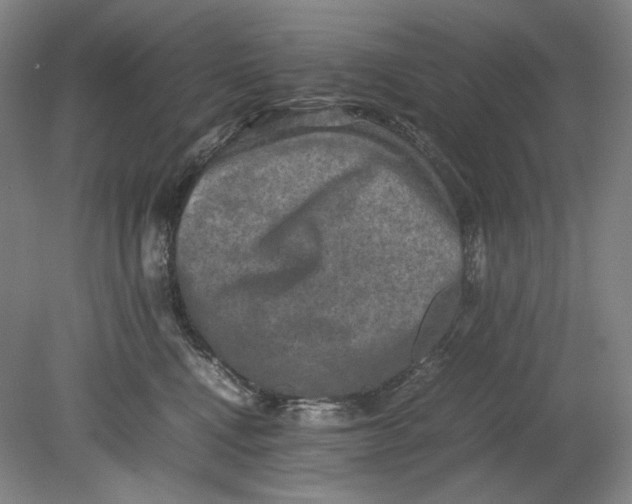 X0000080760472200701051241