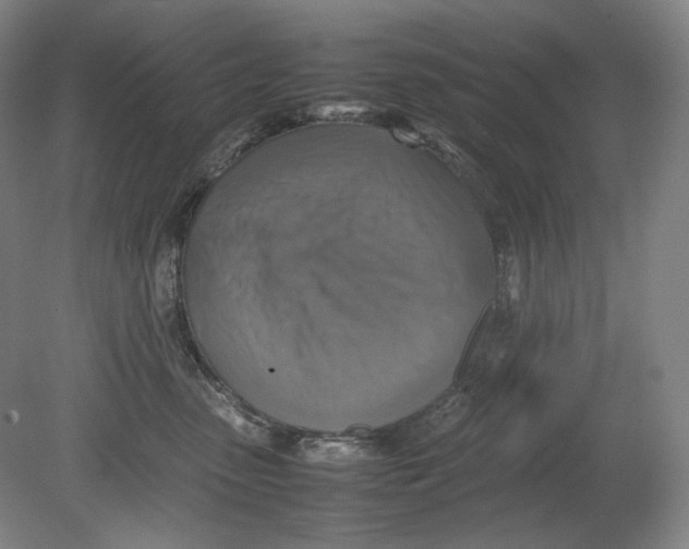 X0000080760475200701051241