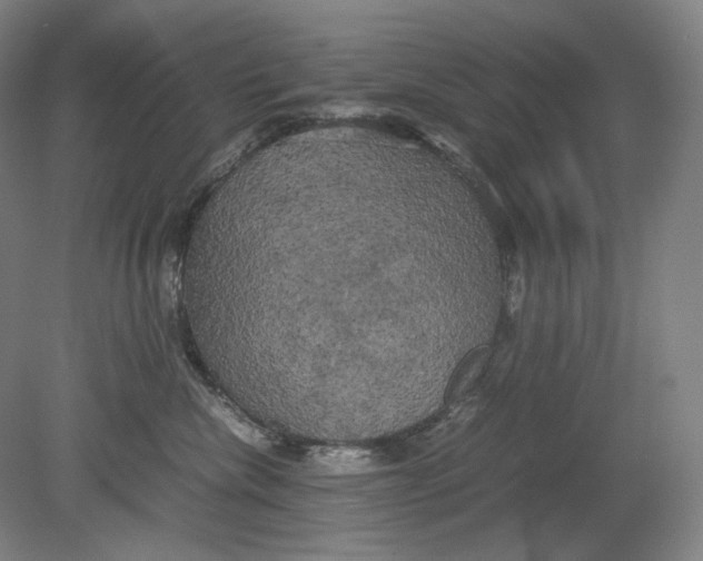 X0000080760476200701051241